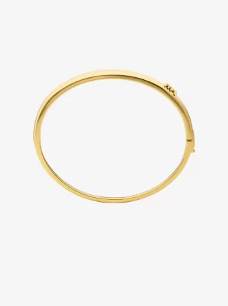 Brazalete de cúpula Brazalete de cúpula
